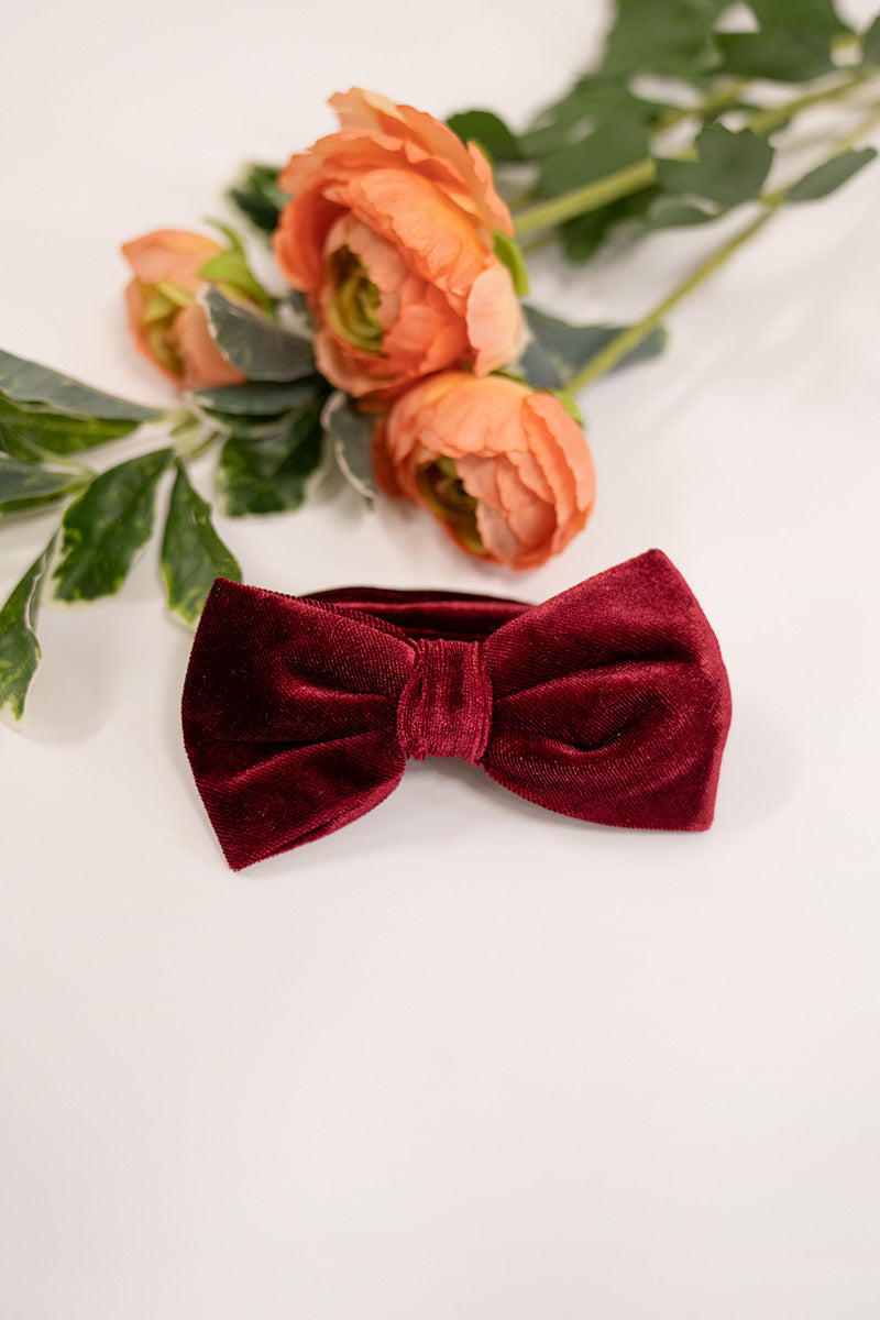 Velvet Groomsmen Bow Tie