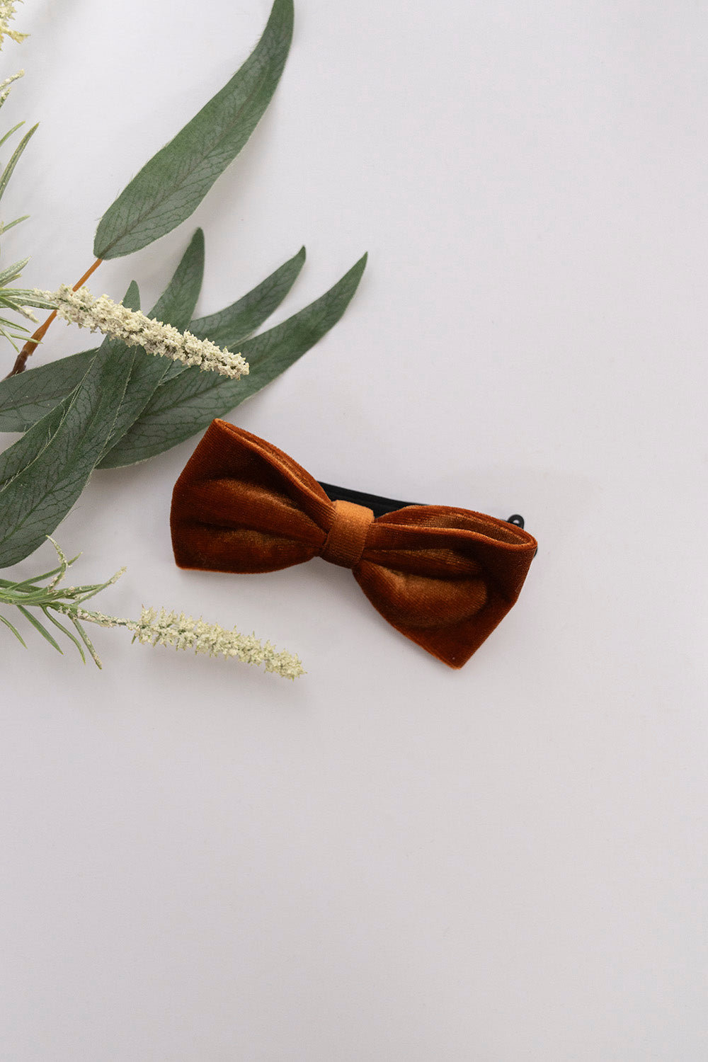 Velvet Groomsmen Bow Tie