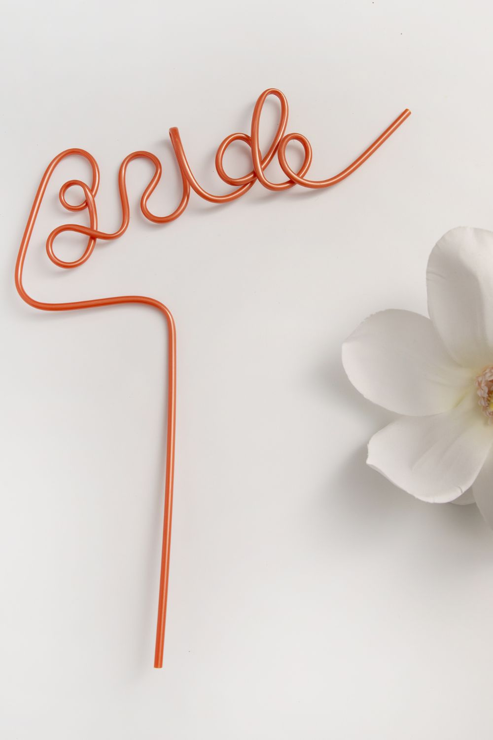 Bride Hens Straws