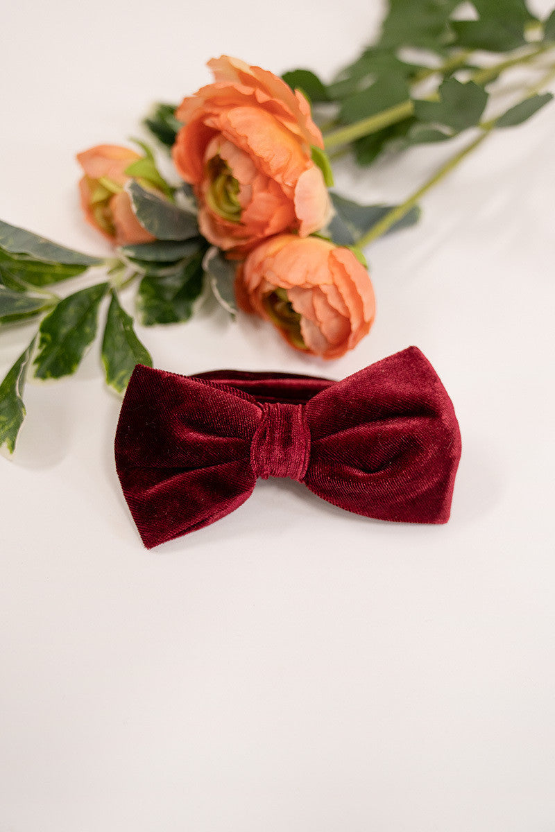 Velvet Groomsmen Bow Tie